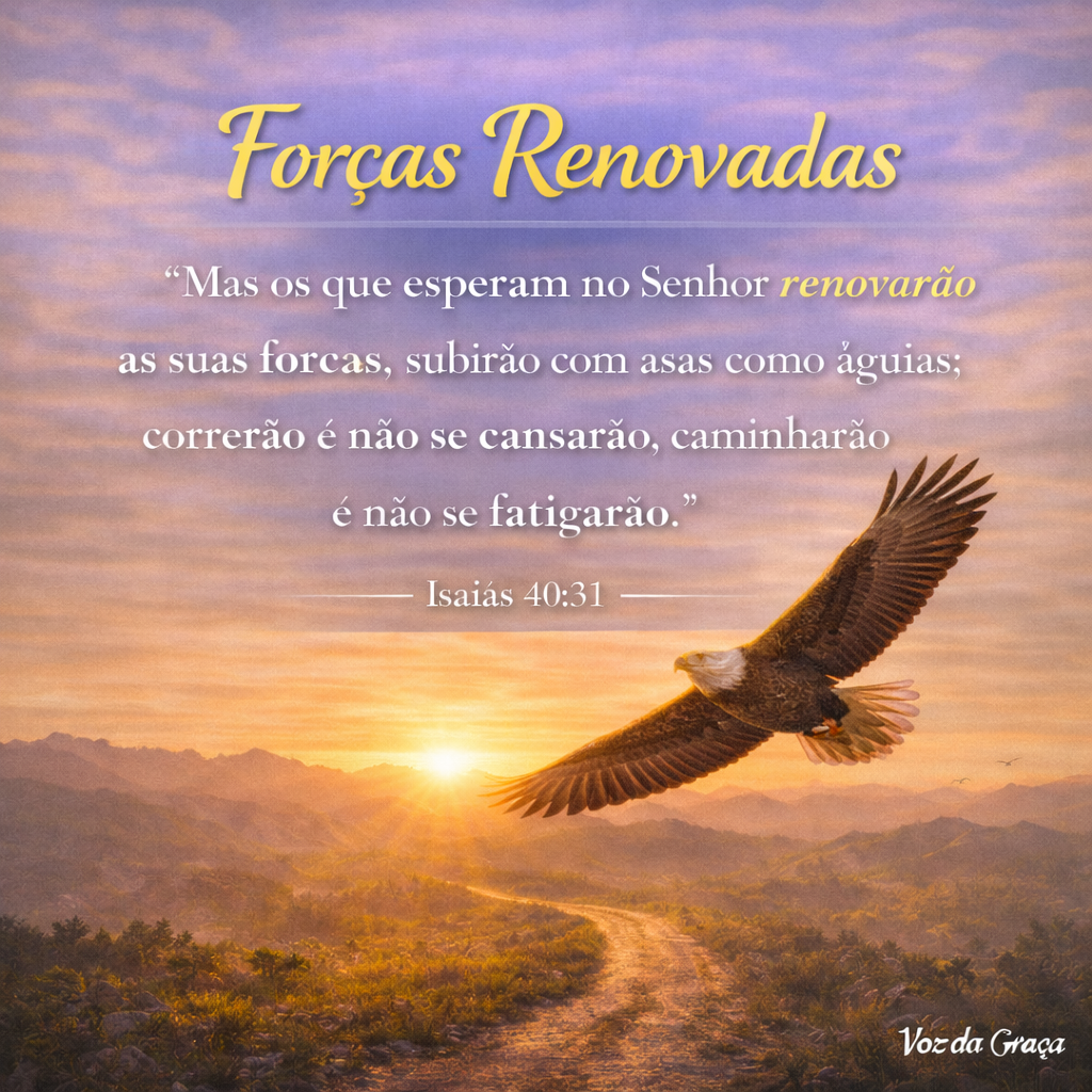 forças renovadas com asas de águia